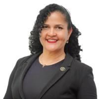 Yesmi Ysabel Villarroel Torres