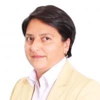 Andrea Del Pilar Duarte Gil