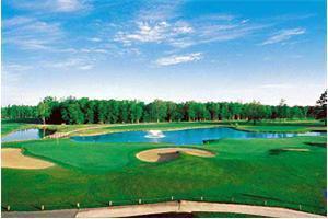 CENTURY 21 The Harrelson Group
