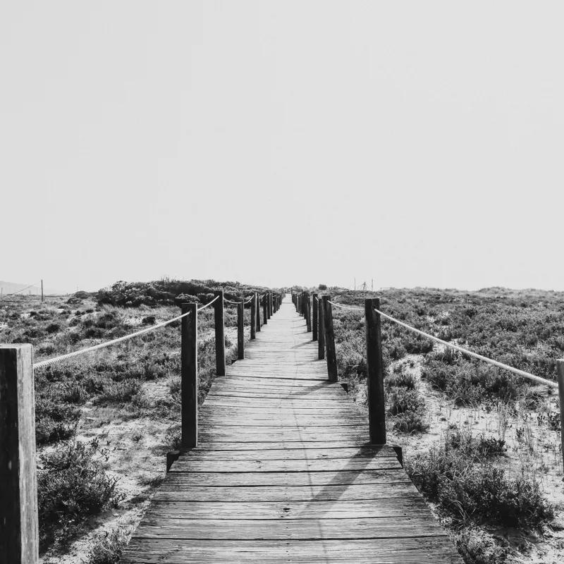 CENTURY 21 Tipy Family Boulevard