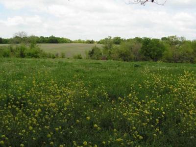 745 Belt Line Road, DeSoto, Texas 75115, États-Unis