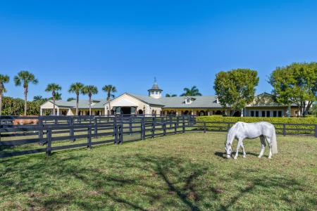14412 Pierson Road, Wellington, Florida 33414