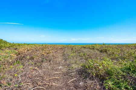 3060 S Ocean Boulevard, Manalapan, Florida 33462