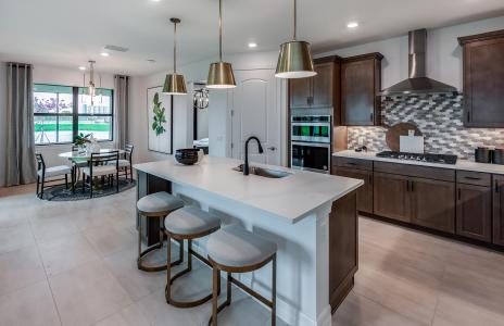 4473 Prividence Way Lot 222, Oak Tree By Pulte Homes, Oakland Park, Floryda 33309, USA