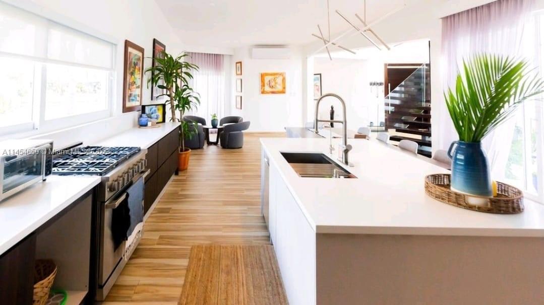 Alabama Dom Rep, Stati Uniti