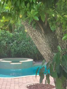 92 NE 90th St 1, El Portal, FL 33138