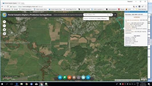 W CARR 342 KM 1.6 BARRIO CIDRA ANASCO, PR 00623, USA