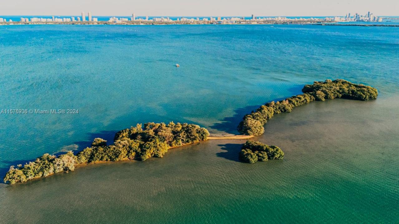 1 BIRD KEY, Miami, FL 33138