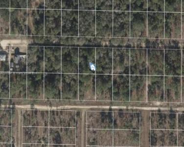 Lot 23 NE 15th Ln, Williston, Floride 32696, États-Unis