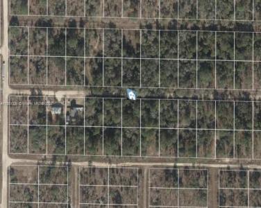 Lot 22 NE 15th Ln, Williston, Floride 32696, États-Unis