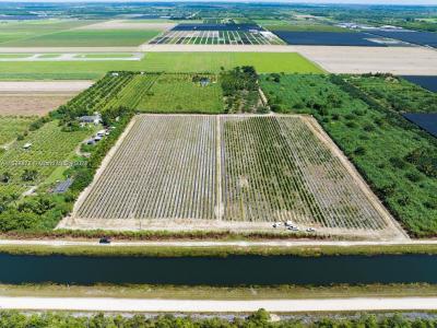 29710 228 ave, Homestead, Florida 33030, USA