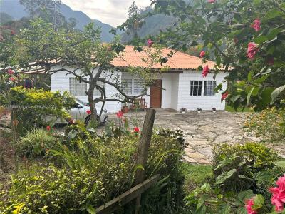 3 Kilometers Carretera Cusio, Florida, USA