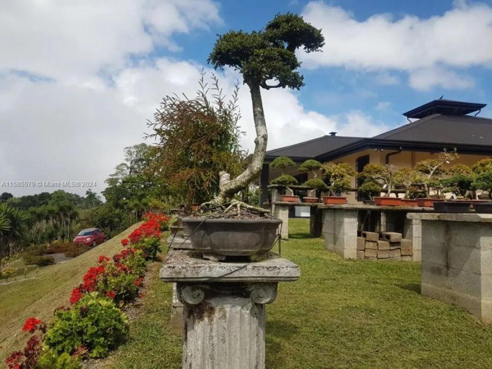 Sin # Zarcero Canuela, Alabama