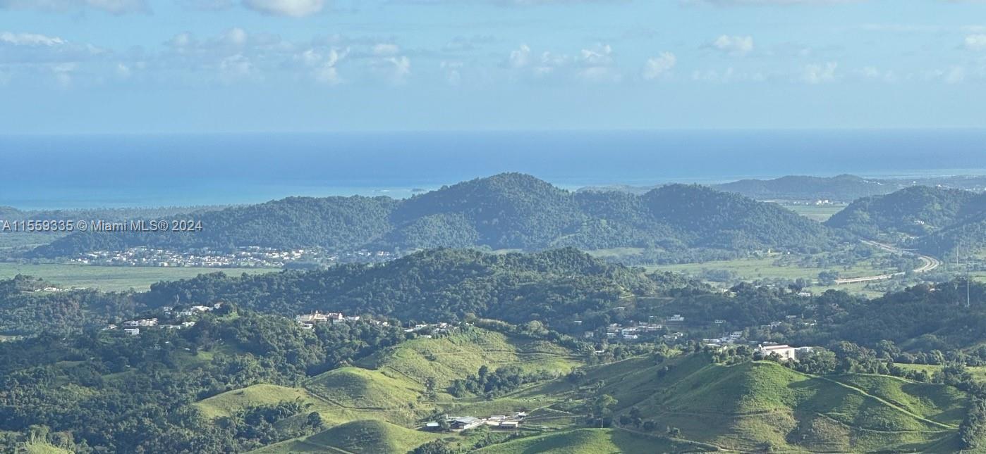 Barrio Anton Ruiz y PR - 925, HUMACAO, Puerto Rico 00741, الولايات المتحدة