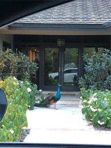 Pinecrest, Florida 33156, USA