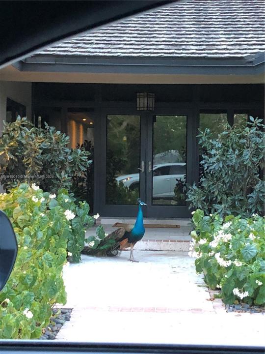 Pinecrest, Florida 33156, USA