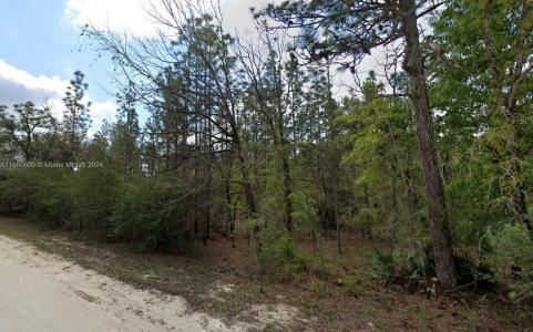 Lot 10 Albany Road, Other City - In The State Of Florida, Florida 34614, USA