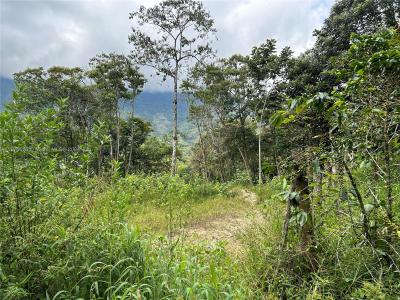 Vereda La Placeta Vereda la Placeta COCORNA, Antioquia, Colombia, 플로리다 054440, 미국