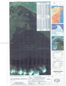 Las golondrinas, Florida, HOA KỲ