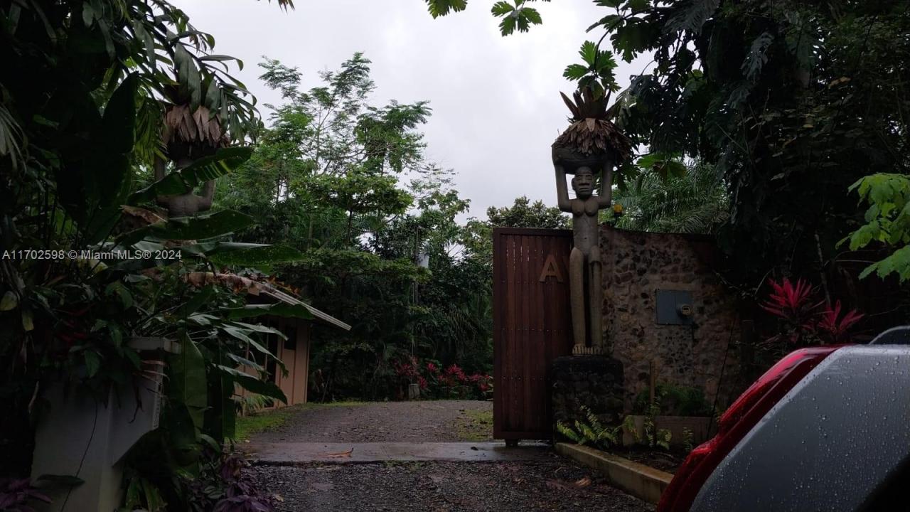 Avatar Corcovado, Florida