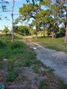 NW 13th St, Pompano Beach, Florida 33069
