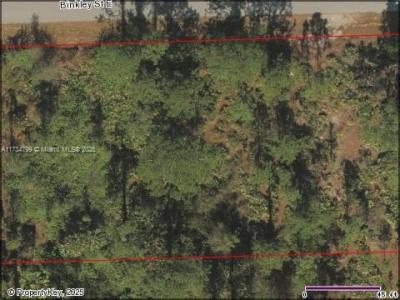 1018 E Binkley, Lehigh Acres, FL 33974