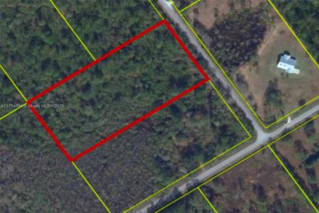 36675 NE 9th Dr, Okeechobee, FL 34972