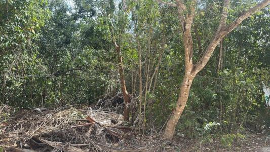 SUPERMANZANA-307 CALLE MARIO E. VILLANUEVA, Texas 77560, États-Unis