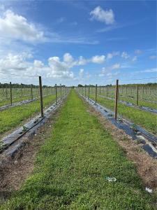 N 280, Homestead, FL 33033