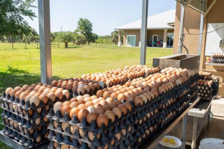 21810 NW 270th St, Okeechobee, Florida 34972