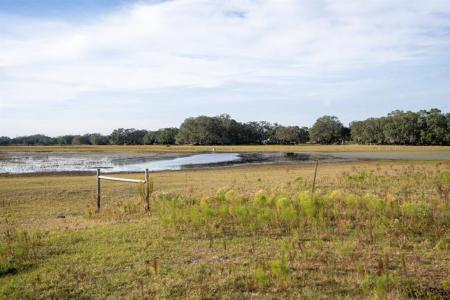 Lake Hatcheneha, Haines City, Florida 33844