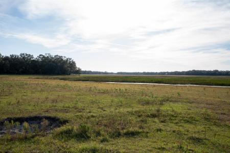 Lake Hatcheneha, Haines City, Florida 33844