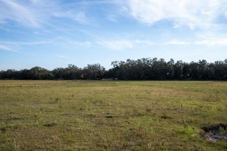 Lake Hatcheneha, Haines City, Florida 33844