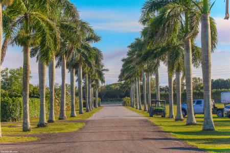 12940 50th Street S, Wellington, Florida 33449