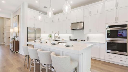 1552 SE Blue Sky Place, Cove Royale, Stuart, Floride 34997, États-Unis