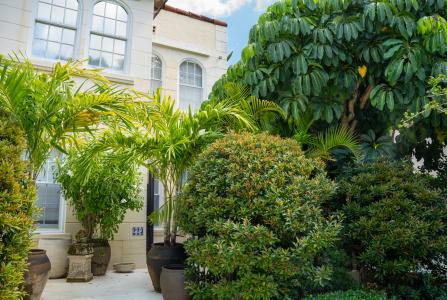 223 Seminole Avenue, Palm Beach, Florida 33480