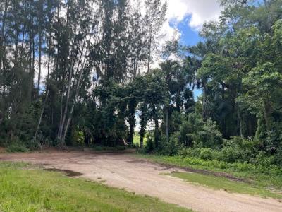 9538 171st Street N, Jupiter Farms, Jupiter, Florida 33478