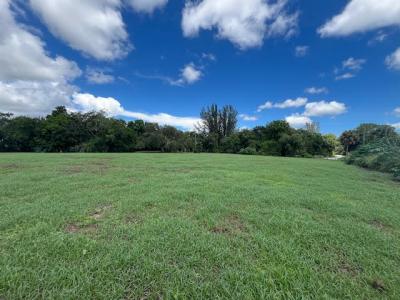 9538 171st Street N, Jupiter Farms, Jupiter, Florida 33478