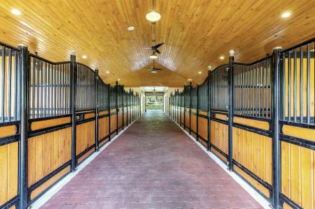 14943 Paddock Drive, Paddock Park, Wellington, Florida 33414