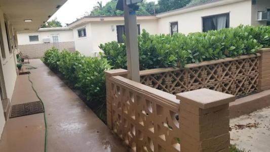 803 NE 8th St, Hallandale Beach, Florida 33009, Stati Uniti