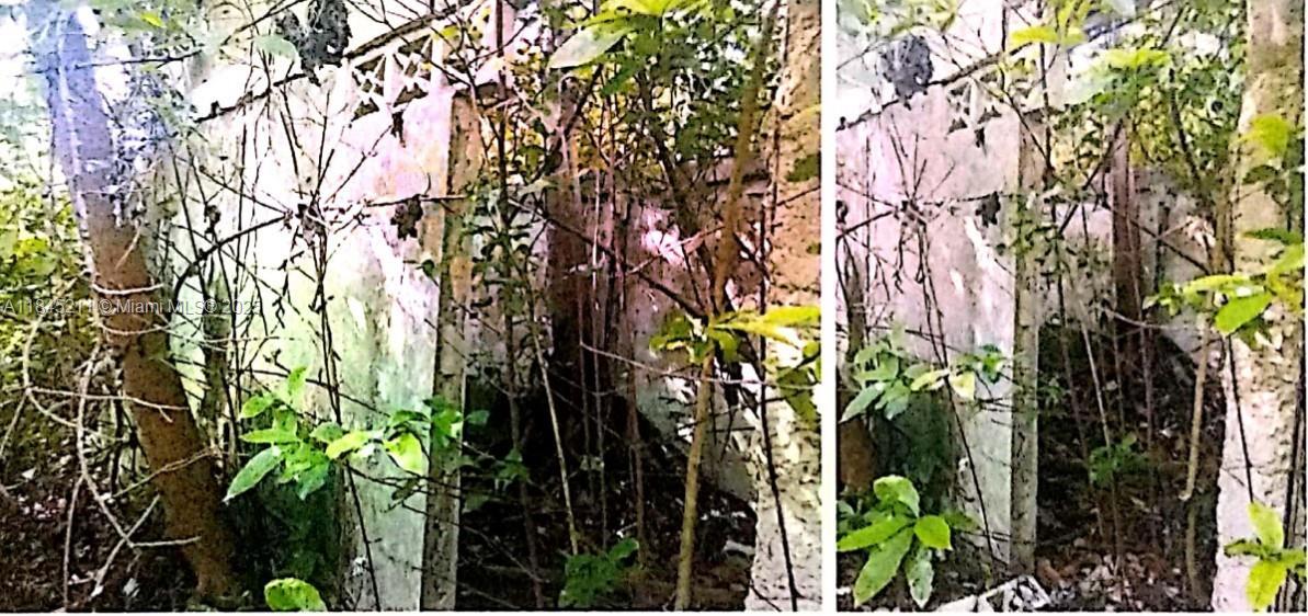 01 lions hill, كولورادو 001, الولايات المتحدة