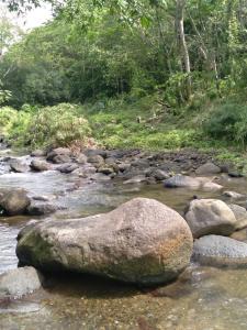 00 St. Mary, Jamaica, 플로리다, 미국