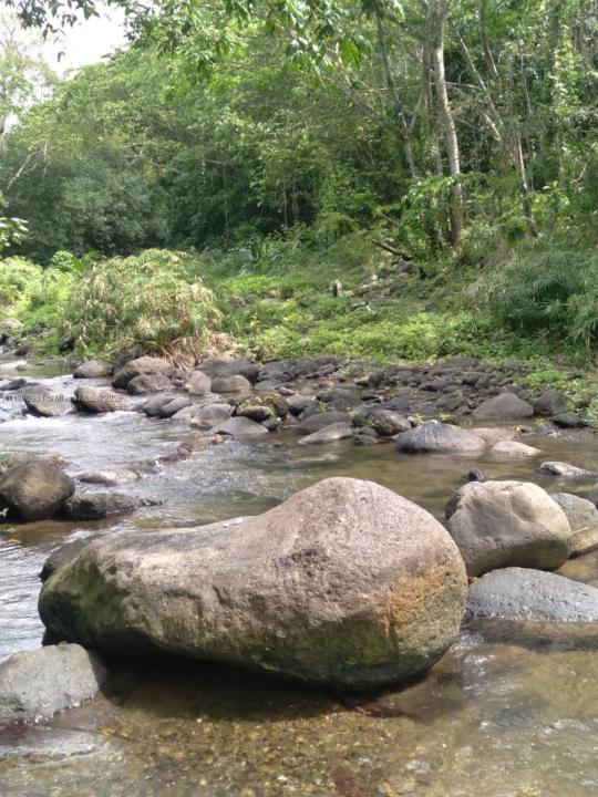 00 St. Mary, Jamaica, فلوريدا, الولايات المتحدة