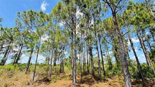 18121 NW 304 th st, Okeechobee, FL 34972