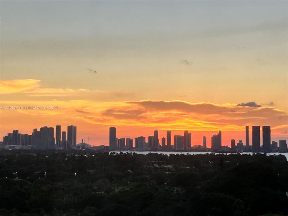 2899 Collins Ave 1638, Miami Beach, FL 33140