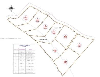 vereda LA RECTA EL PALMAR del municipio de SOPET, 플로리다 051440, 미국