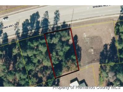 13268  Spring Hill Dr, Spring Hill, 佛罗里达州 34609, 美国