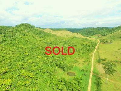 Cayo District, Cayo District, Cayo 00001, Bélize