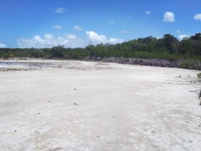 Sarteneja Village, Sarteneja Village, Corozal 00001, Belize