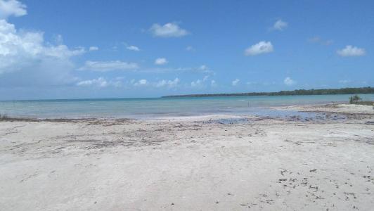 Sarteneja Village, Sarteneja Village, Corozal 00001, Belize